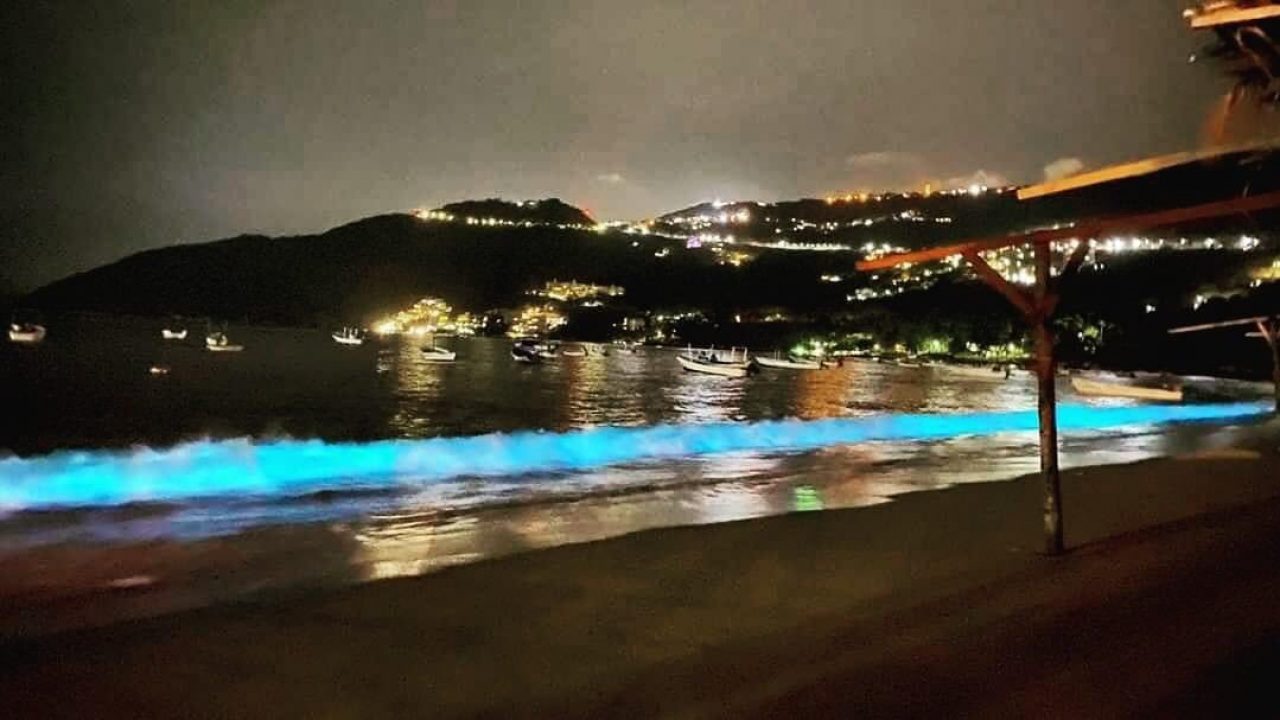 Bioluminiscencia viste de luces las playas de Acapulco
