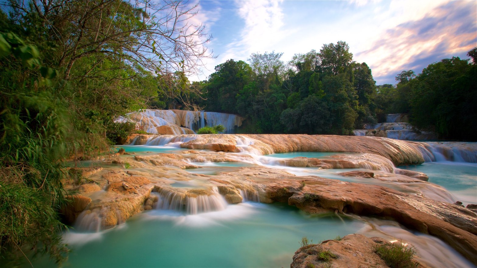Las emblemáticas Cascadas de Agua Azul, uno de los paisajes naturales más representativos de Chiapas, donde la fuerza del agua y la serenidad del entorno se entrelazan como reflejo de un destino que conjuga belleza escénica con estrategia turística.